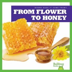 From Flower to Honey - Nelson, Penelope S