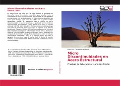 Micro Discontinuidades en Acero Estructural - Casanova del Angel, Francisco