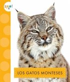 Los Gatos Monteses