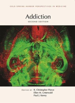 Addiction, Second Edition - Kenny, Paul J