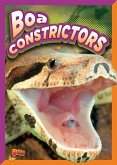 Boa Constrictors