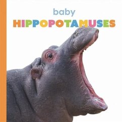Baby Hippopotamuses - Riggs, Kate