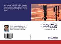 Techno-Economic Investigation of LTE-Advanced