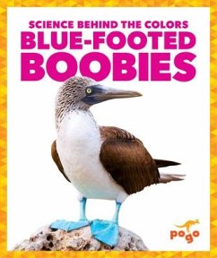Blue-Footed Boobies - Klepeis, Alicia Z