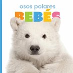 Osos Polares Bebés