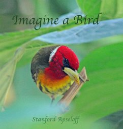 Imagine a Bird - Apseloff, Stanford