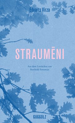 Straumeni (eBook, ePUB) - Virza, Edvarts