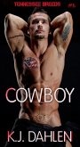 Cowboy (Tennessee Breeds, #6) (eBook, ePUB)