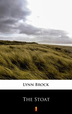 The Stoat (eBook, ePUB) - Brock, Lynn