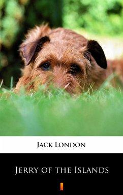 Jerry of the Islands (eBook, ePUB) - London, Jack