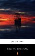 Facing the Flag (eBook, ePUB) - Bild 1