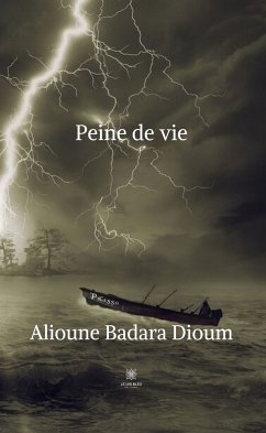Peine de vie (eBook, ePUB) - Dioum, Alioune Badara