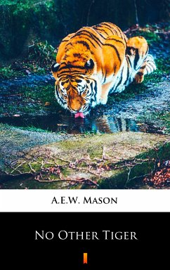 No Other Tiger (eBook, ePUB) - Mason, A.E.W.