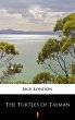 The Turtles of Tasman (eBook, ePUB) - Bild 1
