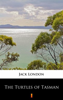 Cover The Turtles of Tasman (eBook, ePUB)