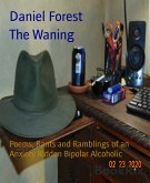 The Waning (eBook, ePUB)