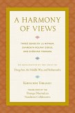 A Harmony of Views (eBook, ePUB)