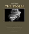 The Storm (eBook, ePUB) - Bild 1