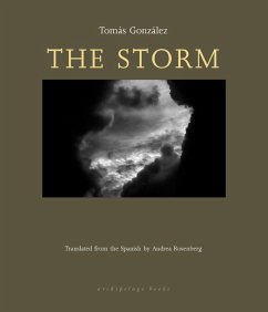 The Storm (eBook, ePUB) - Gonzalez, Tomas