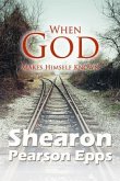 WHEN GOD MAKES HIMSELF KNOWN (eBook, ePUB)