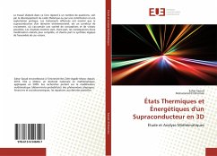 Cover États Thermiques et Énergétiques d'un Supraconducteur en 3D