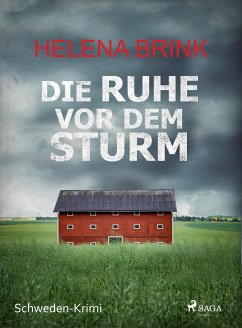 Die Ruhe vor dem Sturm - Schweden-Krimi (eBook, ePUB) - Brink, Helena