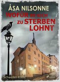 Wofür es sich zu sterben lohnt - Schweden-Krimi (eBook, ePUB)