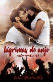 Lagrimas de anjo (eBook, ePUB)