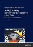 Turkey¿s Economy from different perspectives after 1980