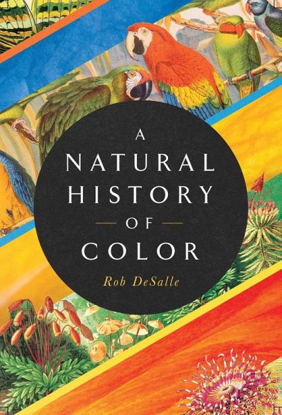 A Natural History of Color (eBook, ePUB) A Natural History of Color (eBook, ePUB)