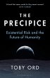 The Precipice (eBook, ePUB) - Bild 1