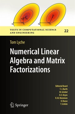 Cover Numerical Linear Algebra and Matrix Factorizations (eBook, PDF)
