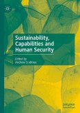 Sustainability, Capabilities and Human Security (eBook, PDF)