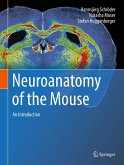Neuroanatomy of the Mouse (eBook, PDF)