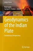 Geodynamics of the Indian Plate (eBook, PDF)