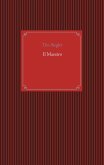Il Maestro (eBook, ePUB)