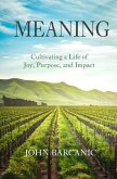 Meaning (eBook, ePUB)