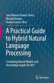 A Practical Guide to Hybrid Natural Language Processing