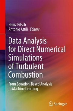 Data Analysis for Direct Numerical Simulations of Turbulent Combustion