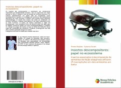 Insectos descompositores: papel no ecossistema