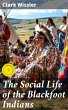 The Social Life of the Blackfoot... - Bild 1