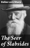 The Seer of Slabsides (eBook, ePUB)