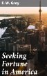 Seeking Fortune in America (eBook, ePUB) - Bild 1