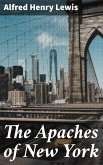 The Apaches of New York (eBook, ePUB)