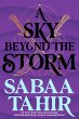 A Sky Beyond the Storm (eBook, ePUB) - Bild 1