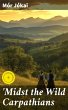 Midst the Wild Carpathians (eBook, ePUB) - Bild 1