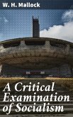 A Critical Examination of Socialism (eBook, ePUB)