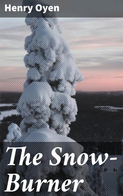 The Snow-Burner (eBook, ePUB) - Oyen, Henry