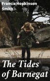 The Tides of Barnegat (eBook, ePUB)