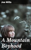 A Mountain Boyhood (eBook, ePUB)